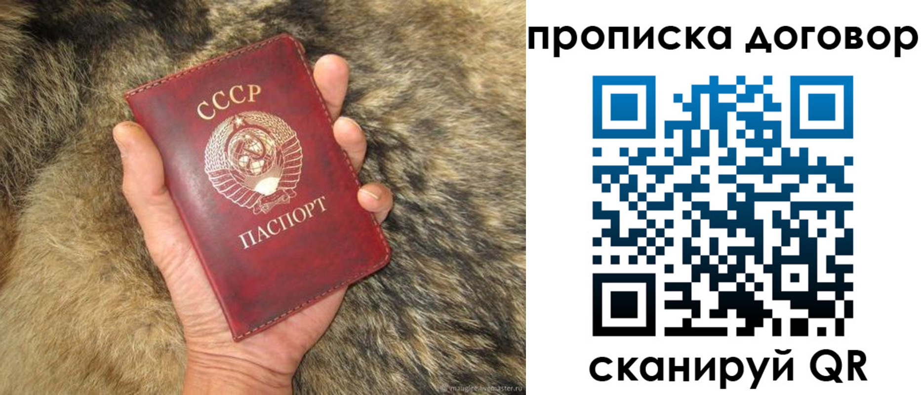 прописка регистрация в Находке